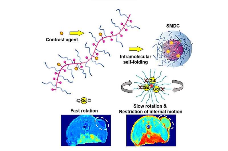 Self-Folding Molecules Enhance MRI Contrast with Nanosized Drug Carriers