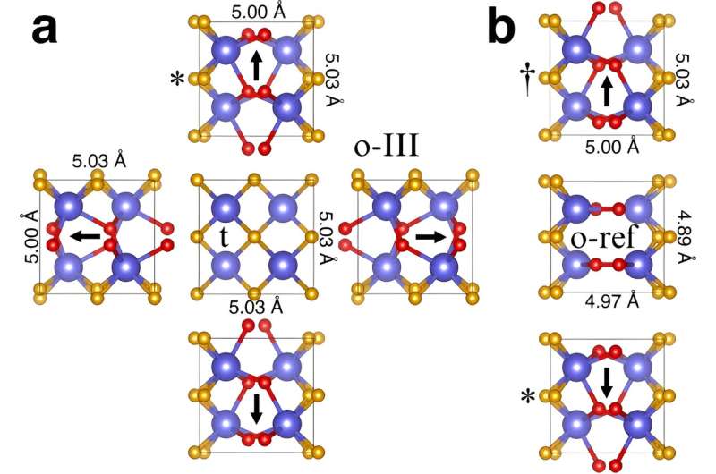 Ferroelectricity in Hafnia-Related Materials: A Theoretical Investigation