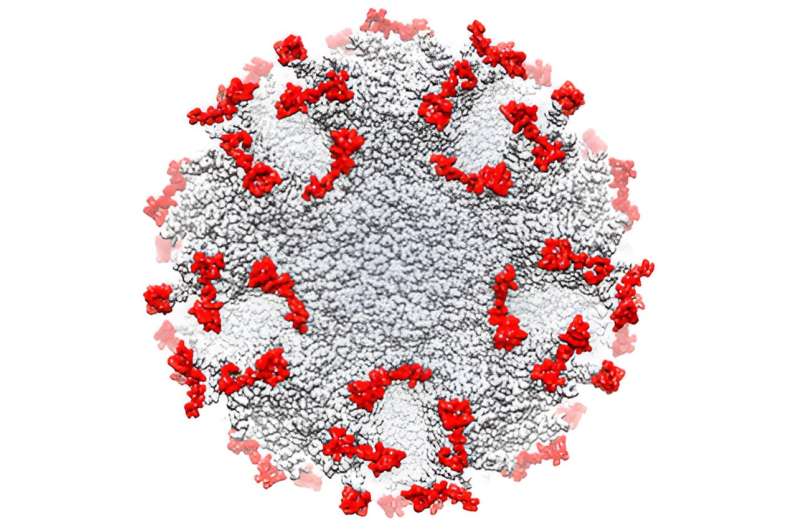 Thermostable Nanoparticle Platform Shows Promise in Combating Viral Infections