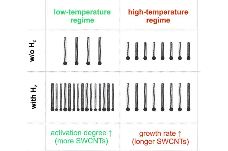 Breakthrough in Carbon Nanotube Production for Next-Gen Electronics
