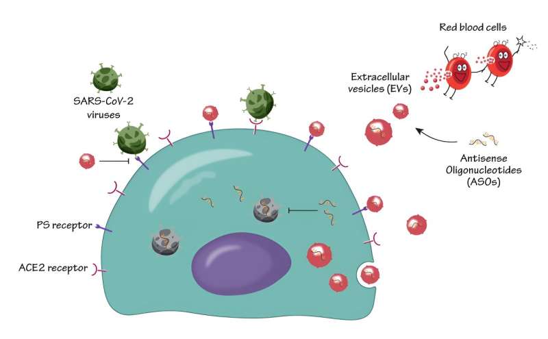 Nano-Cell Particles: A Promising Strategy for Fighting Infectious Diseases