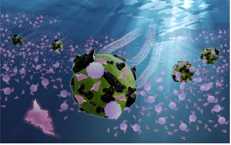 Biohybrid Microrobots for Microplastic Removal: A Promising Solution for Aquatic Pollution