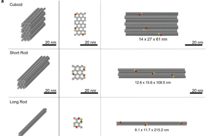 Polymer-DNA Origami Nanostructures: Biodistribution & Function
