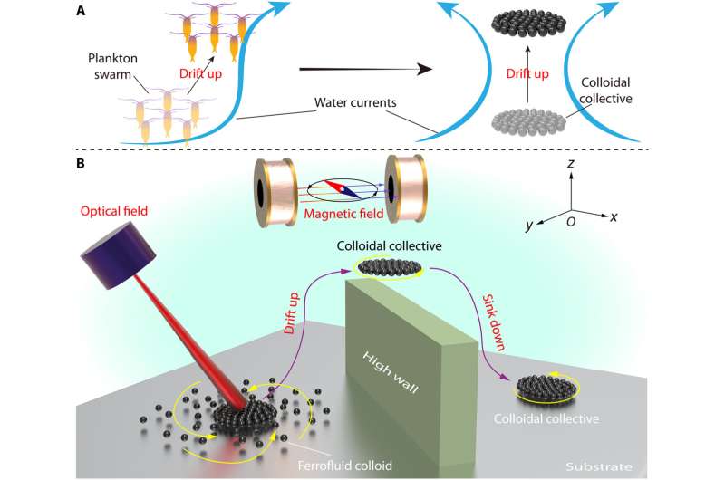 Magnetic Colloidal Aggregates: Bio-inspired Self-Assembly & Control