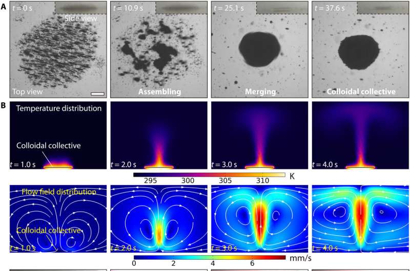 Magnetic Colloidal Aggregates: Bio-inspired Self-Assembly & Control