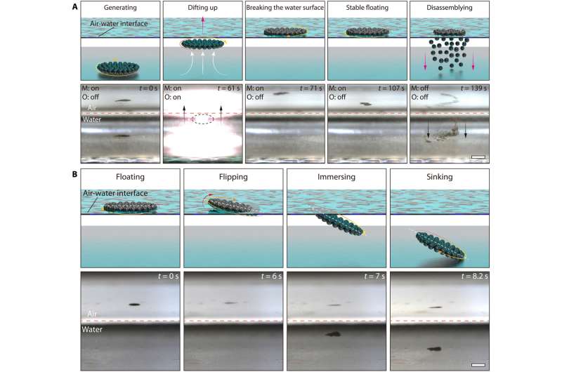 Magnetic Colloidal Aggregates: Bio-inspired Self-Assembly & Control