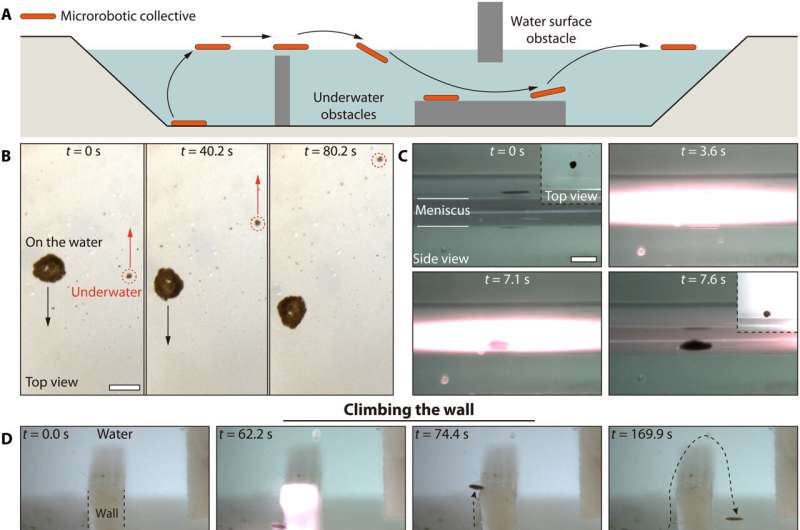 Magnetic Colloidal Aggregates: Bio-inspired Self-Assembly & Control