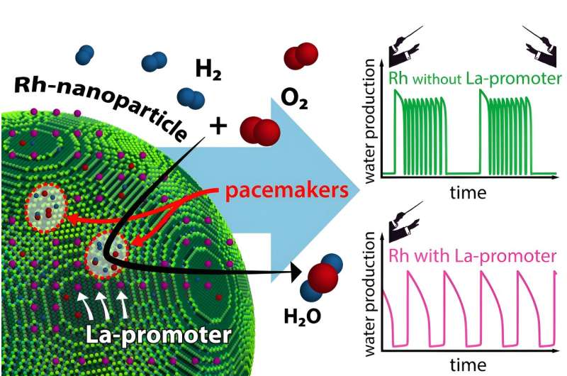 Real-Time Observation of Promoter Activity in Catalytic Reactions