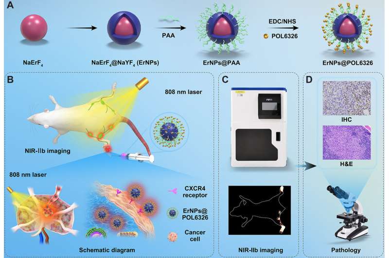 Nanoprobe Enables Real-Time Detection of Breast Cancer Metastasis