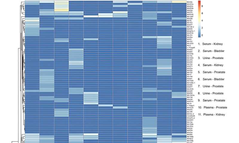 Label-Free Lab-on-a-Chip for Rapid sEV Purification & Characterization