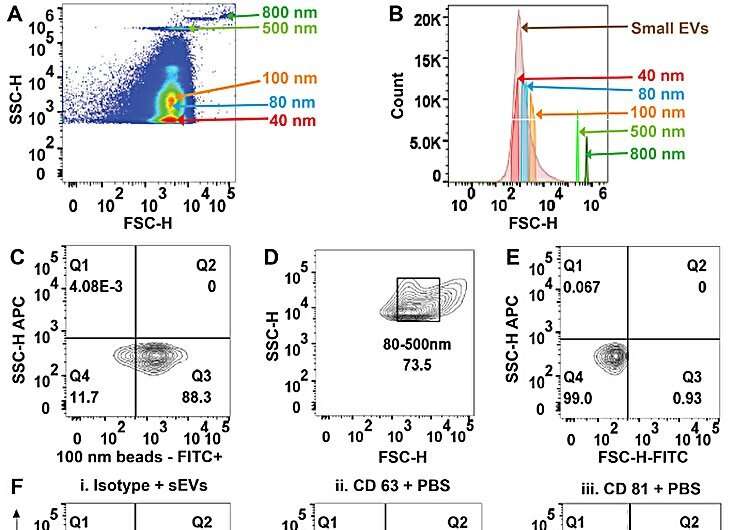Label-Free Lab-on-a-Chip for Rapid sEV Purification & Characterization