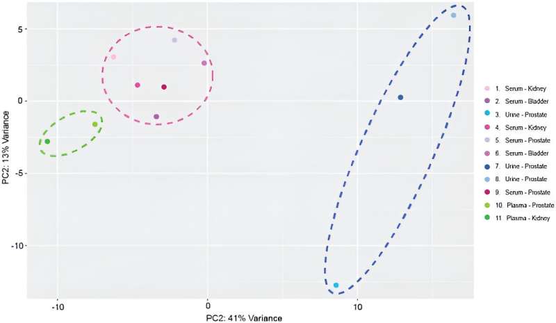 Label-Free Lab-on-a-Chip for Rapid sEV Purification & Characterization