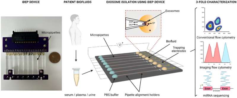Label-Free Lab-on-a-Chip for Rapid sEV Purification & Characterization