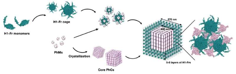 Engineering Bacteria for Protein Complex Biosynthesis