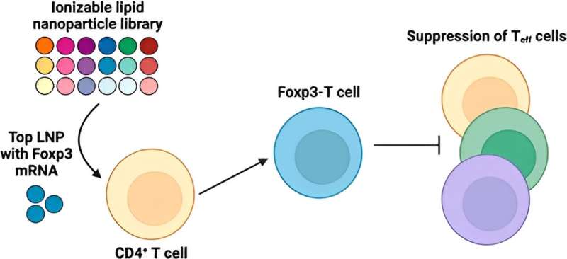 mRNA Delivery with Lipid Nanoparticles: A New Frontier for Autoimmune Disease Treatment