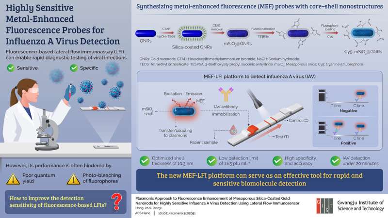 Metal-Enhanced Fluorescence Probes for Rapid Influenza A Virus Detection
