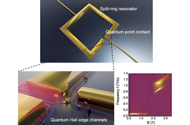 Novel Nanoscale Hybrid System Reveals Vacuum Fluctuations