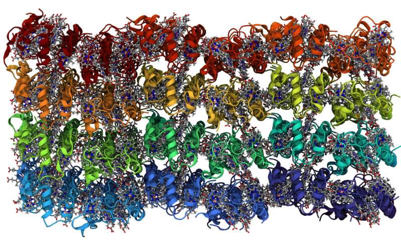 Electron Transport in Biological Nanowires: A Simulation