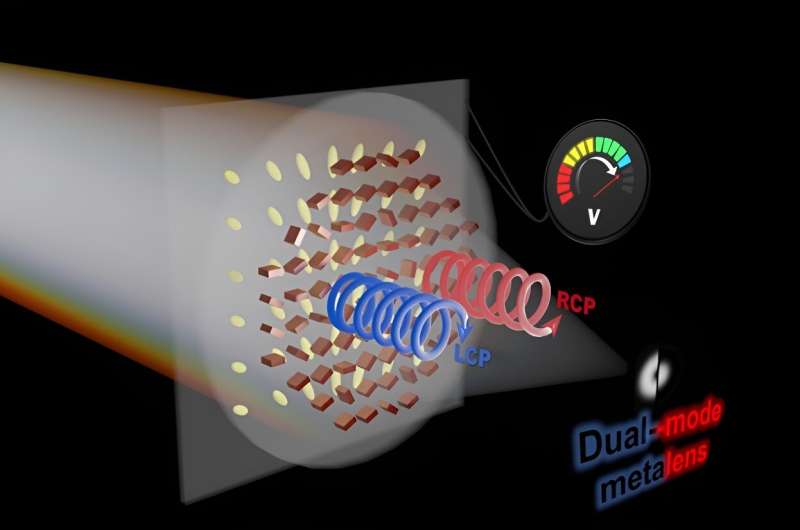 Dual Metalens Adapts to Light Conditions for Dynamic Imaging