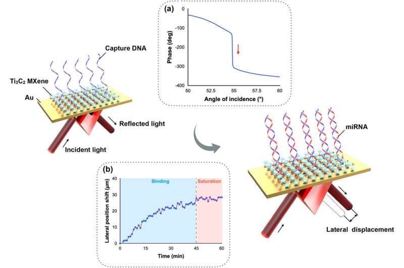 Ultrasensitive miRNA Detection with MXene-Enhanced Plasmonic Sensing