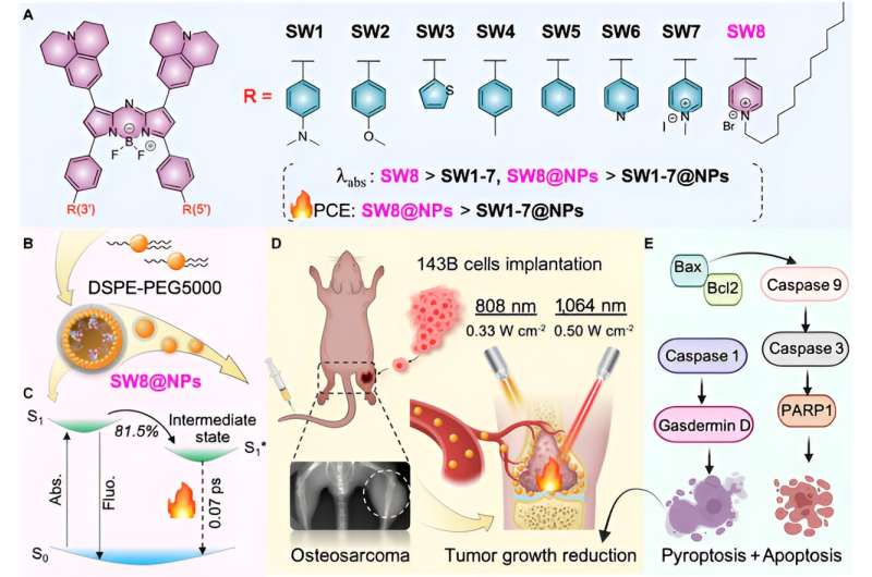 Novel NIR-II Photothermal Agents for Targeted Cancer Therapy: A New Strategy