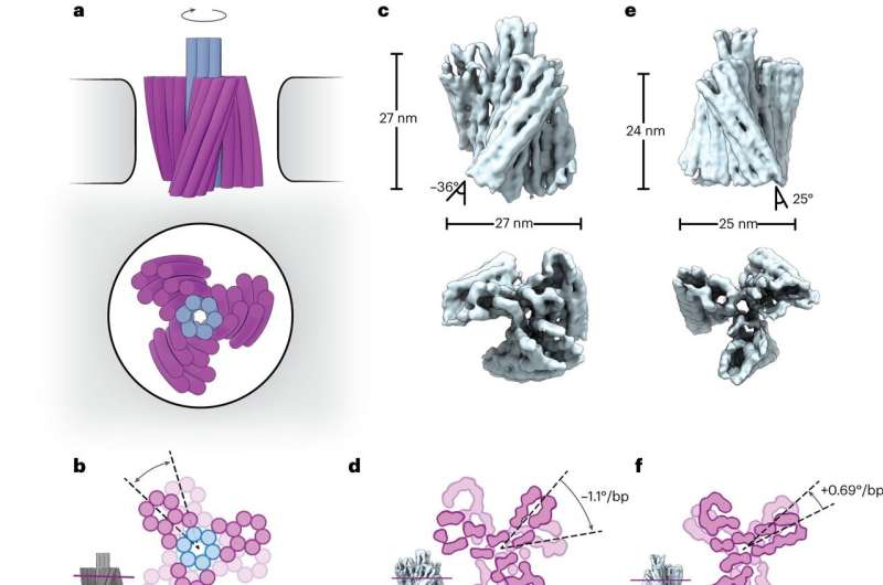 DNA Origami Nanoturbine: A Breakthrough in Nanomotor Technology