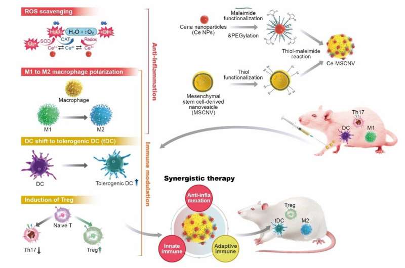Nanoparticles Show Promise in Treating Rheumatoid Arthritis