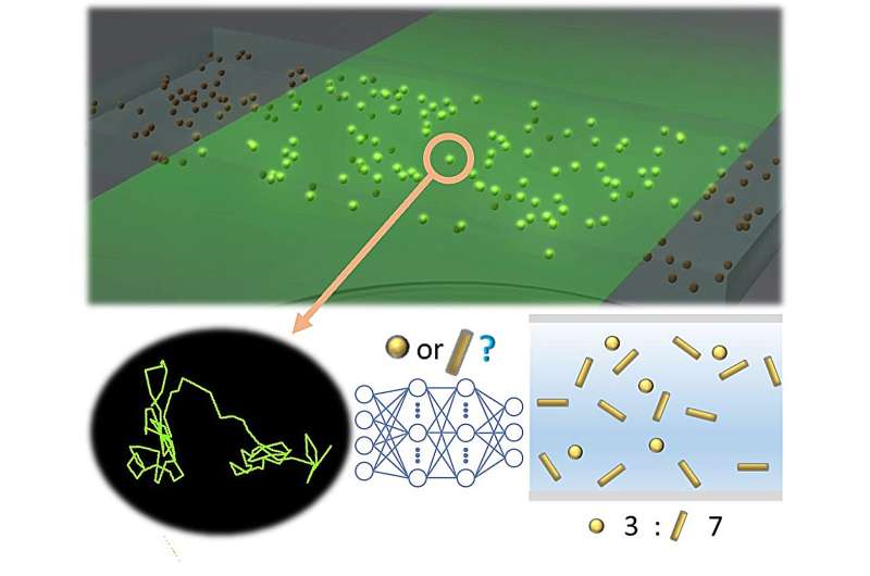 Deep Learning Advances Nanoparticle Shape Analysis