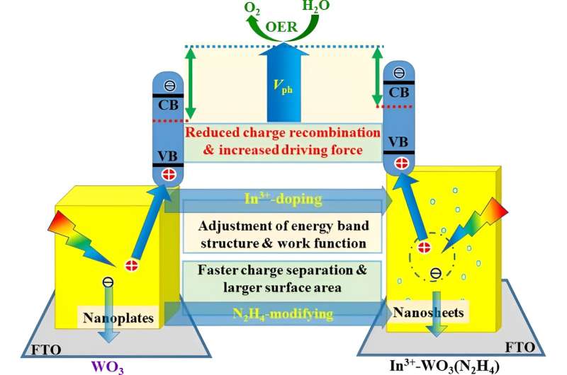 Novel Hydrothermally Prepared Nanostructured Photoanode for Enhanced Oxygen Evolution Reaction