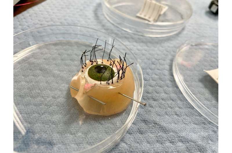 Innovative 3D-Printed Sensors Detect Environmental Changes – Research Breakthrough