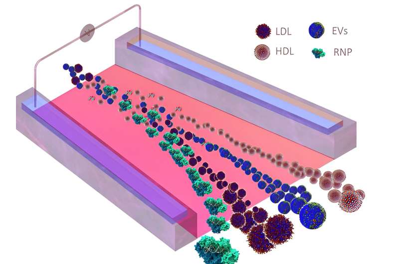Revolutionary Cancer Diagnostics: New RNA-Listening Technology