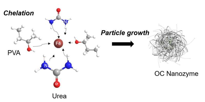 Novel Organic Nanozymes for Sustainable Agriculture: A Breakthrough in Crop Protection