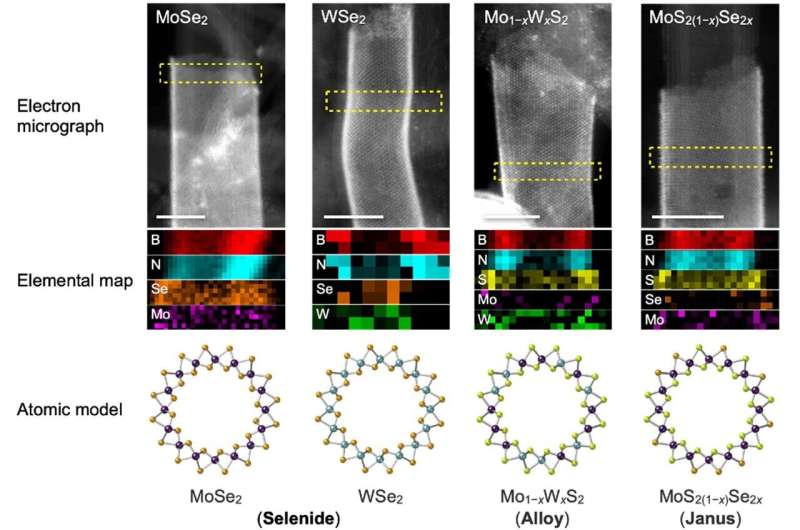 Novel Boron-Nitride Nanotubes Expand TMD Nanotube Growth Possibilities