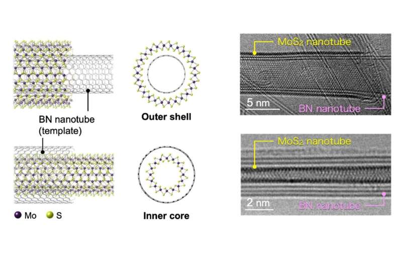 Novel Boron-Nitride Nanotubes Expand TMD Nanotube Growth Possibilities