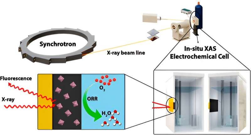 Cobalt-Modified Nanomaterials Enhance Fuel Cell Durability and Sustainability