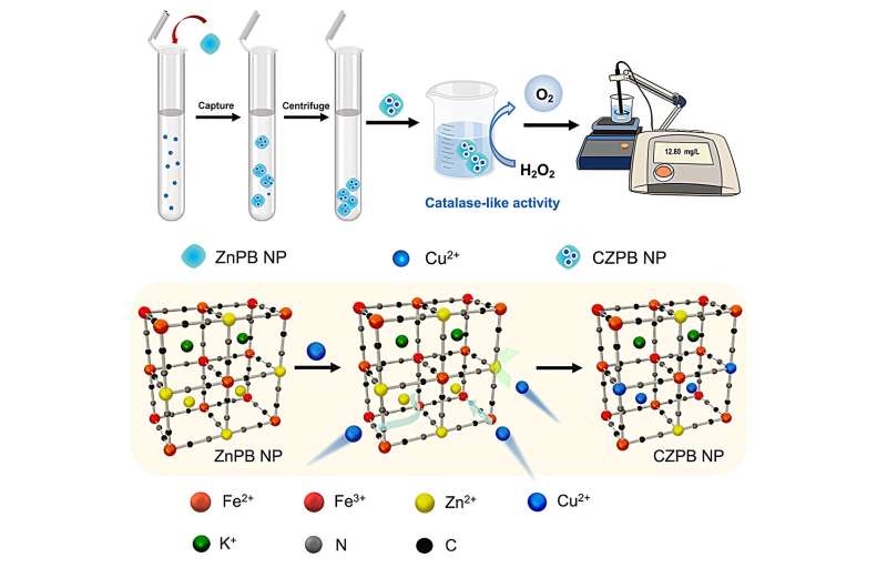 Zinc-Doped Prussian Blue Nanozyme: A Novel All-in-One Copper Sensor