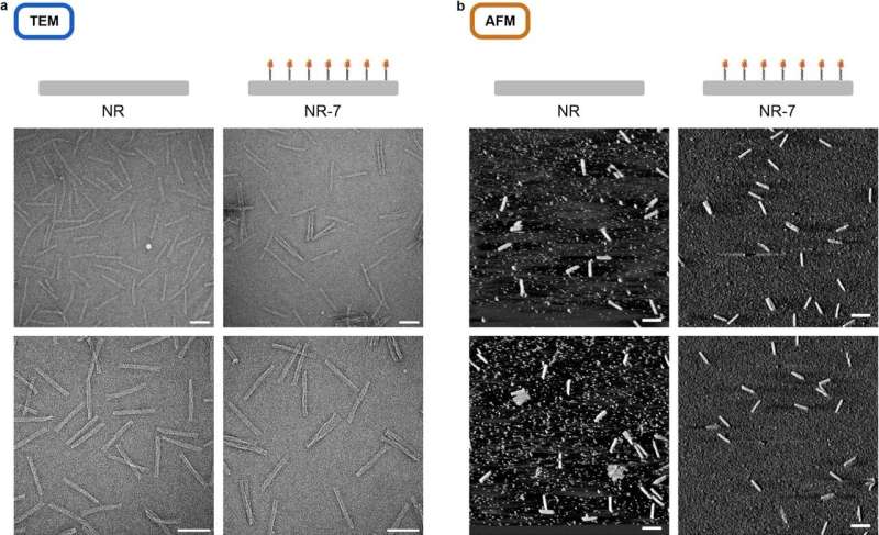 Insulin Nanoclusters: Breakthrough in Diabetes Drug Development