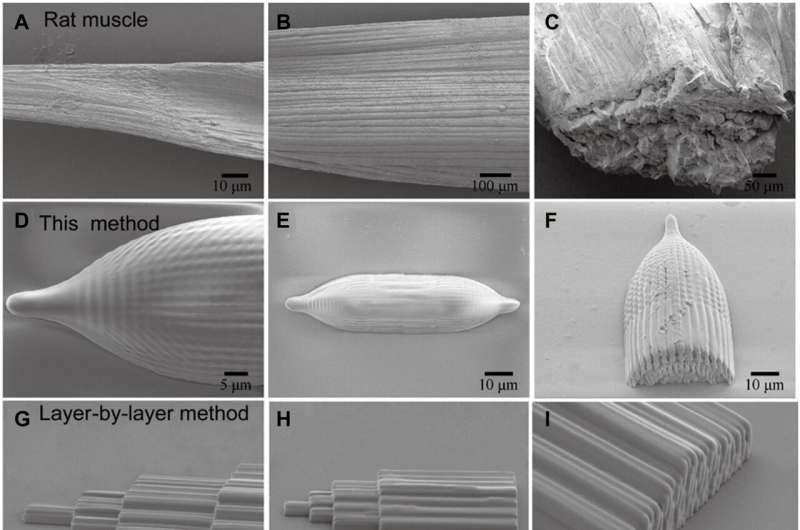 Free-Space Nanoprinting for Advanced 4D Functional Structures