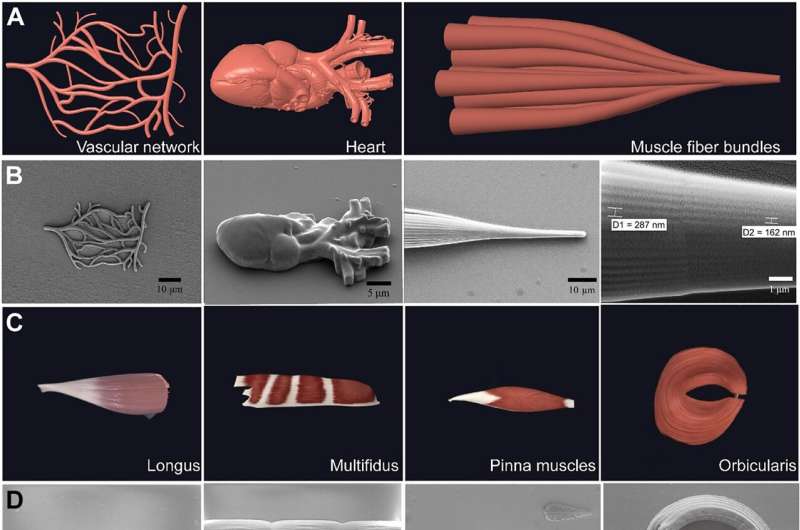 Free-Space Nanoprinting for Advanced 4D Functional Structures