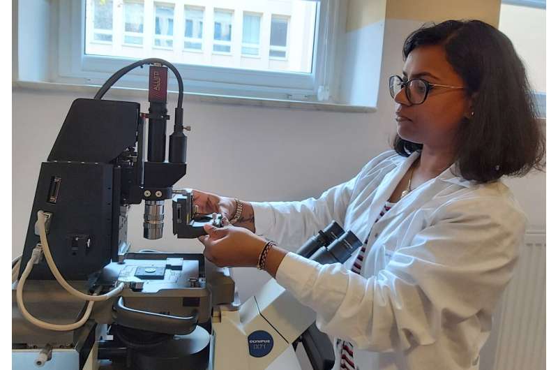 Early Cancer Detection: Novel AFM Method for Mechanical Property Analysis