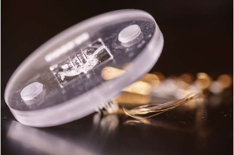 Wearable Sensor Monitors Antibiotic Levels Painlessly