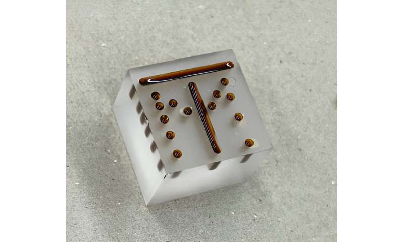 Thermometry Cameras: A Deep Dive into Advanced Temperature Measurement