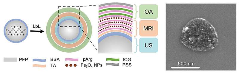 Multimodal Contrast Agent Enhances Medical Imaging with MRI, Ultrasound & Optoacoustics