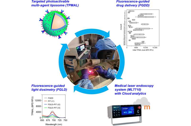 Fluorescence-Guided Photoimmunotherapy for Peritoneal Cancer: A Nanotherapy Approach
