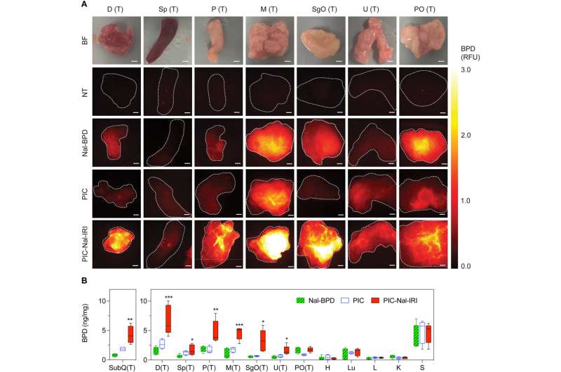 Fluorescence-Guided Photoimmunotherapy for Peritoneal Cancer: A Nanotherapy Approach