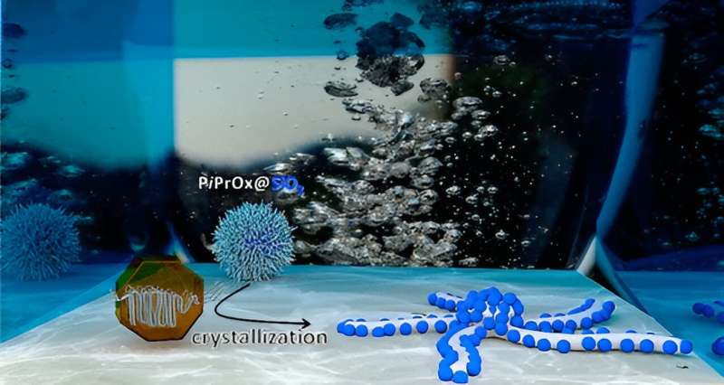 Bottom-Up Nanomaterial Synthesis: New Approach by German Scientists