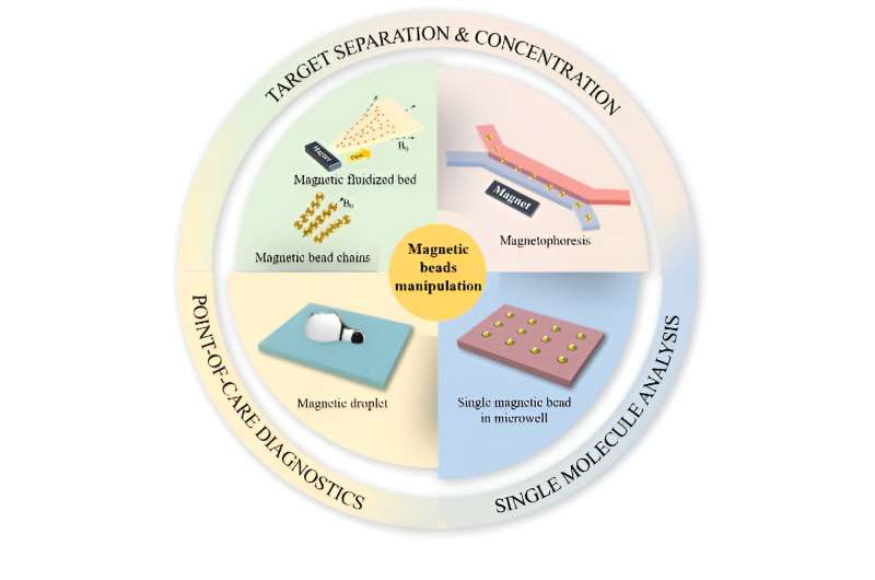 Magnetic Bead Manipulation in Microfluidics for Biological Analysis