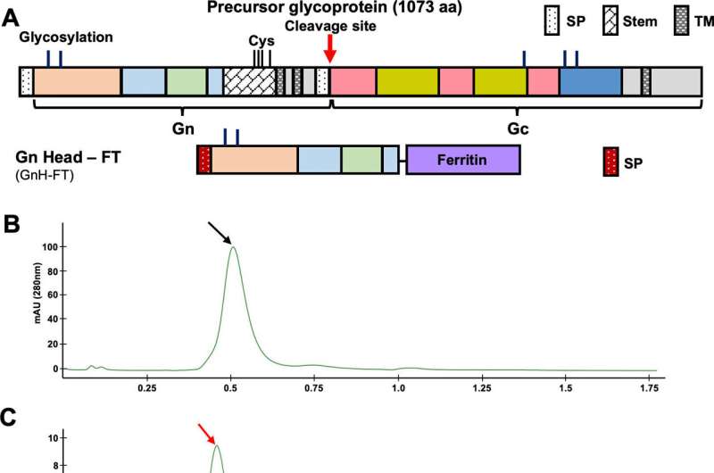 Nanoparticle Vaccine Candidate Shows Promise Against Emerging Tick-Borne Viruses