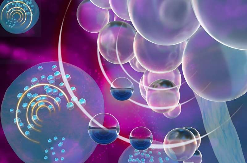 Ultrasound Nanobubbles Unlock Insights into Immune Cell Behavior for Advanced Therapies