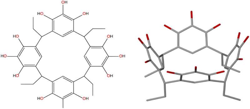 Nanocapsules for Enhanced Nanotechnology Power: A Novel Study